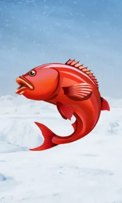 Ice Fishing — Evolution